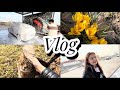Vlog| Путешествие по поликлиникам | Дача | Автомойка и велосипедисты