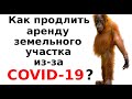 Продление аренды земельного участка на 3 года из-за коронавируса