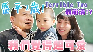 盛平2歲 叛逆期｜什麼都不要不要好崩潰！？｜我們覺得超可愛｜鐵牛婷婷feat.盛平