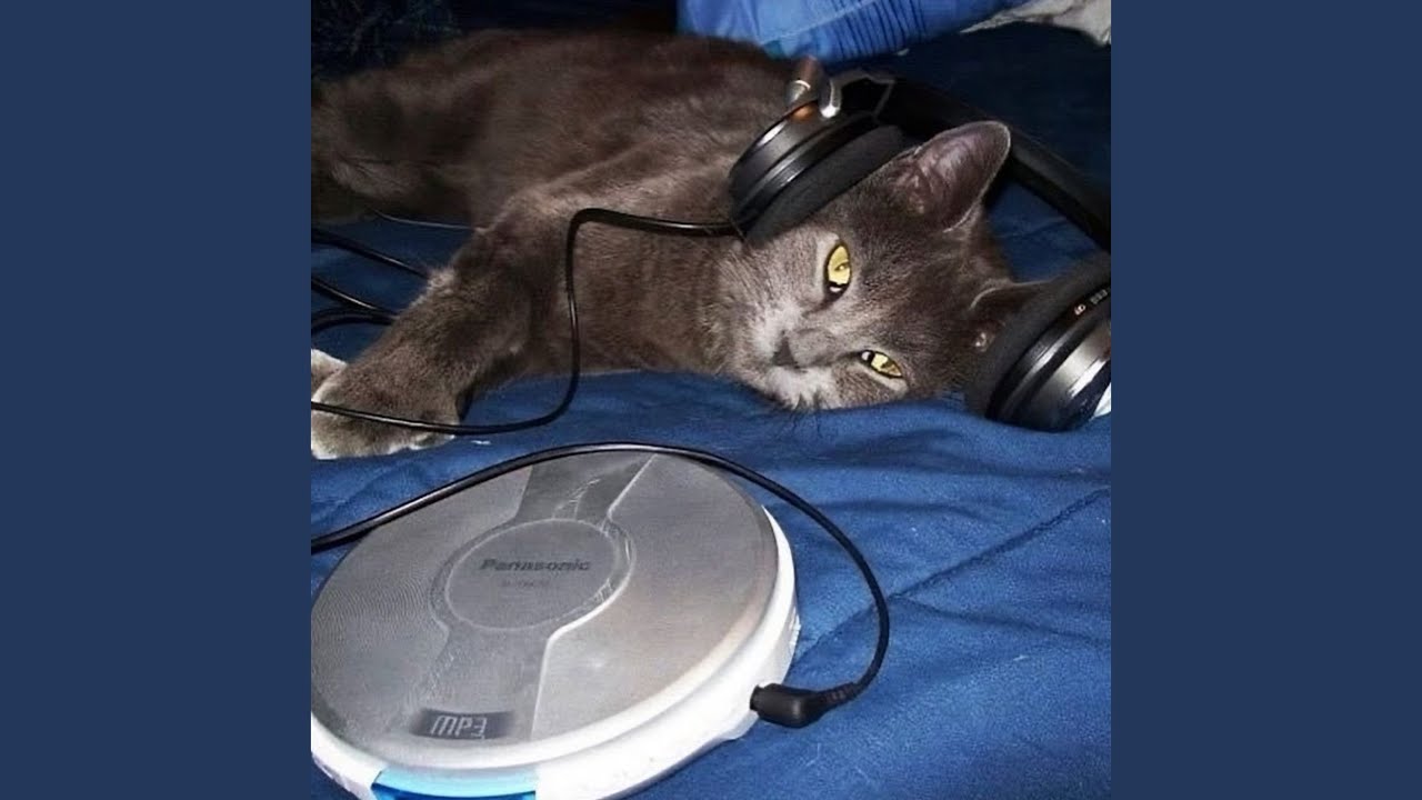 Guarda reject su YouTube Guarda reject su YouTube