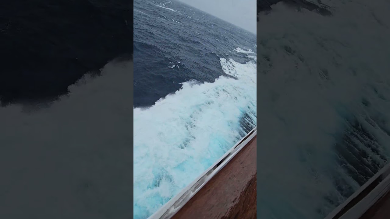 #love #cruisetour #cruise #travel #song #automobile #bollywood #life #nature #dance #beach #viral