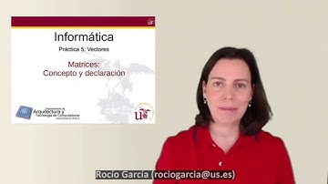 P05.06 - Matrices: Concepto y declaración