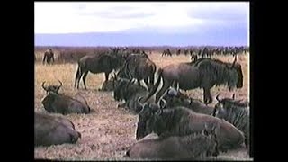Total Solar Eclipse in Zimbabwe 21 June 2001