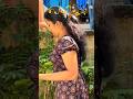 പൊതിച്ചോറ് കഴിച്ചിട്ട് എത്ര നാളായി 😋 #shortsviral #song #youtubeshorts #shortsfeed #trending #vlog