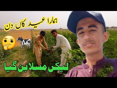 Eid ka Din Hamare liye Mushkil Ban Gaya | کجھ اور بے |Wanda Banda