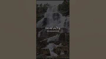 تلاوة هادئة وخاشعة تريح القلب بصوت القارئ عبد الرحمن مسعد | ان الله لا يخفى عليه شيء
