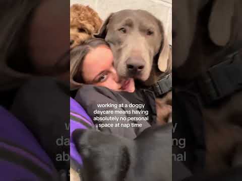 Advantages of working at Doggy Daycare 😂 (via iw4ntcr1sps)