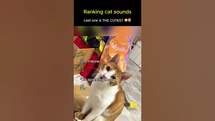 Ranking caťs sound’s 🐈#funny #cat #cute #ranking