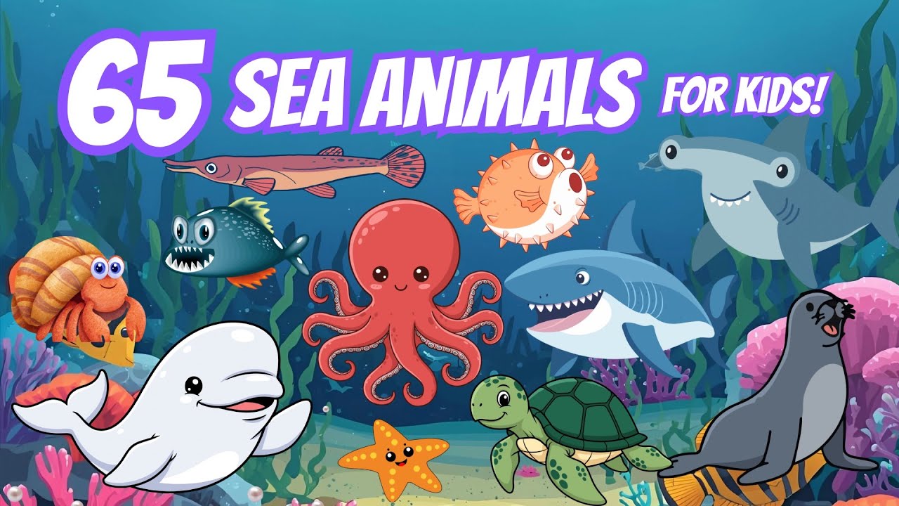 65 невероятных морских животных с интересными фактами | Обучающее видео для детей