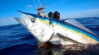 If You Can't Hook It... Shoot it! Commercial Fishing | Profit Breakdown