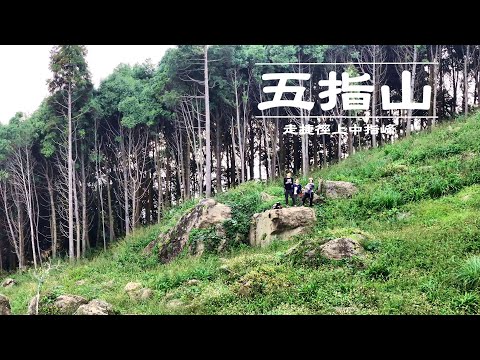| 滿山肖楠樹隨處芬多精 | 新竹五指山 |中指峰 | 食指峰 | 灶君廟 | 玉皇宮 | 盤古廟 | 受北宮 | 齊天大聖爺 | 竹林禪苑 |