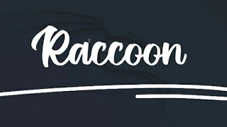 Raccoon 🦝