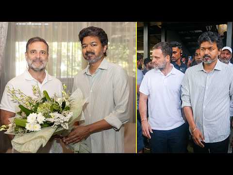 Rahul Gandhi met CM Vijay at His Residence | Visuals at a Cafe in Chennai