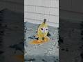 Happy Banana Cat Surfer #bananacat #skibiditoilet #meme