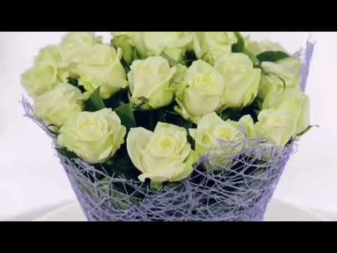Video: Ինչու են երազում սպիտակ վարդերը