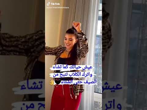 كلب ينبح كي يشبع يسكت