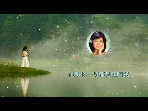 【華語歌曲】你怎麼說 - 鄧麗君