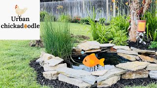 Putting a Pond in our Backyard ￼