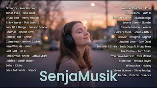 Hello 2026 — Chill Vibes Acoustic Playlist 🎧 | Trending TikTok Songs, Soft & Calm | SenjaMusik screenshot 3