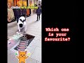 Which is your favourite