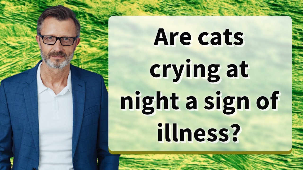 Are cats crying at night a sign of illness?