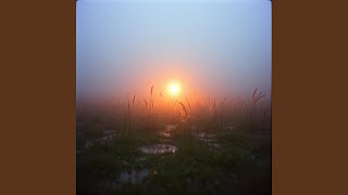 Petrichor Afterglow