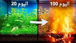محاكاة غابة لمدة 100 يوم screenshot 4