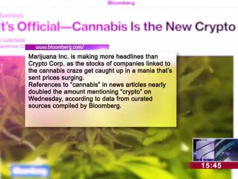 მარიხუანა ახალ ბიტკოინად იქცა   Bloomberg სტატიას აქვეყნებს