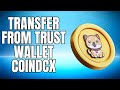 How to Transfer Baby Doge Coin From Trust Wallet to CoinDCX 2025 NEW