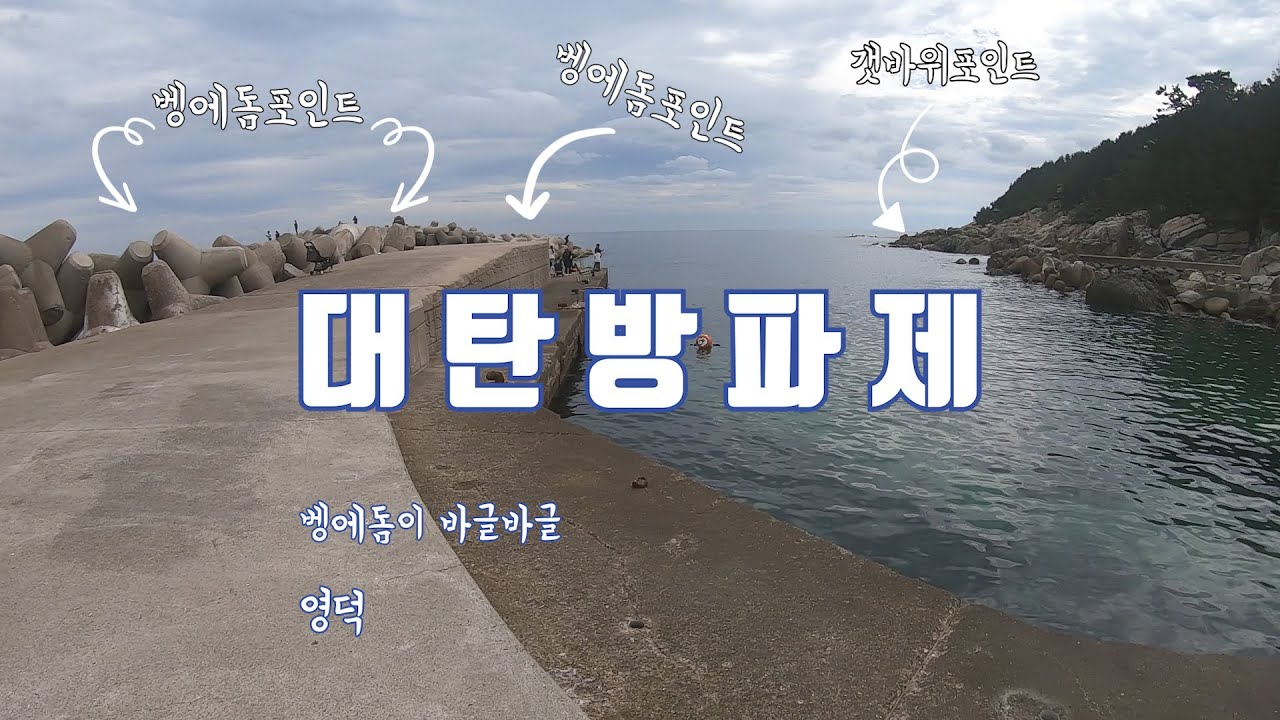 벵에돔이 터트리고 도망간날 (feat. 대탄방파제)