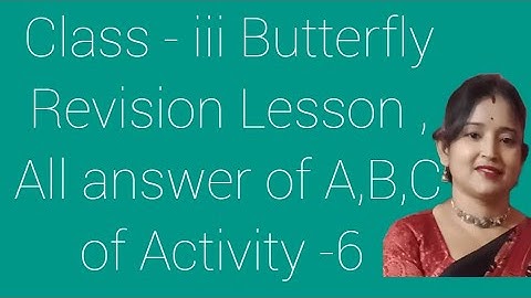 Class - iii English book (Butterfly) Revision Lesson , Answer of A,B,C of Activity - 6
