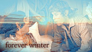 Frodo & Sam || Forever Winter
