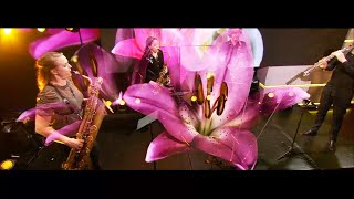 Download Lagu Goldbergvariaties van Bach voor blaasinstrumenten! | De Vooravond MP3