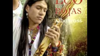 Leo Rojas   Albatross
