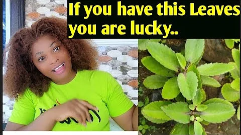 You can't go broke if you know this Leaf 💯 ~Protection and Money💰leaf