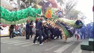 Naga Hijau 250 Meter Tayuban Panjatan - Karnaval Kulon Progo 2019