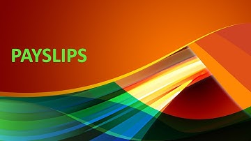 Payslip #saphr #payroll #hr #employees #saphcm #sap #payslip