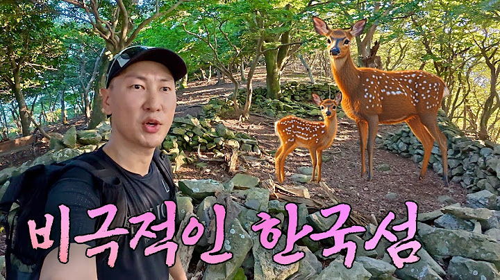 More than people… “1,000 deer occupy a remote island in the West Sea”