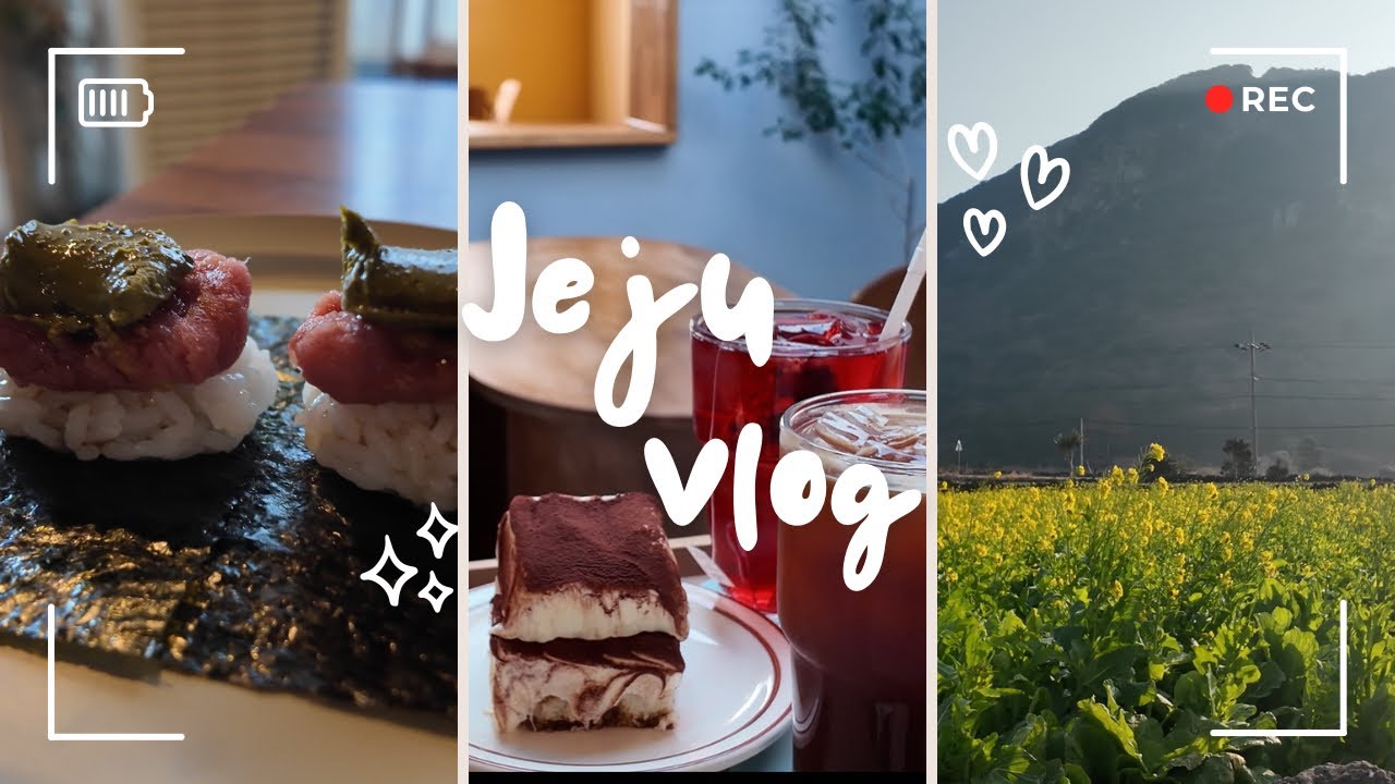 [별사탕발걸음] 제주도가 고향인데 속았나..? 또또간집 vs 처음 갔다가 실망한 집 솔직 리뷰 🍊