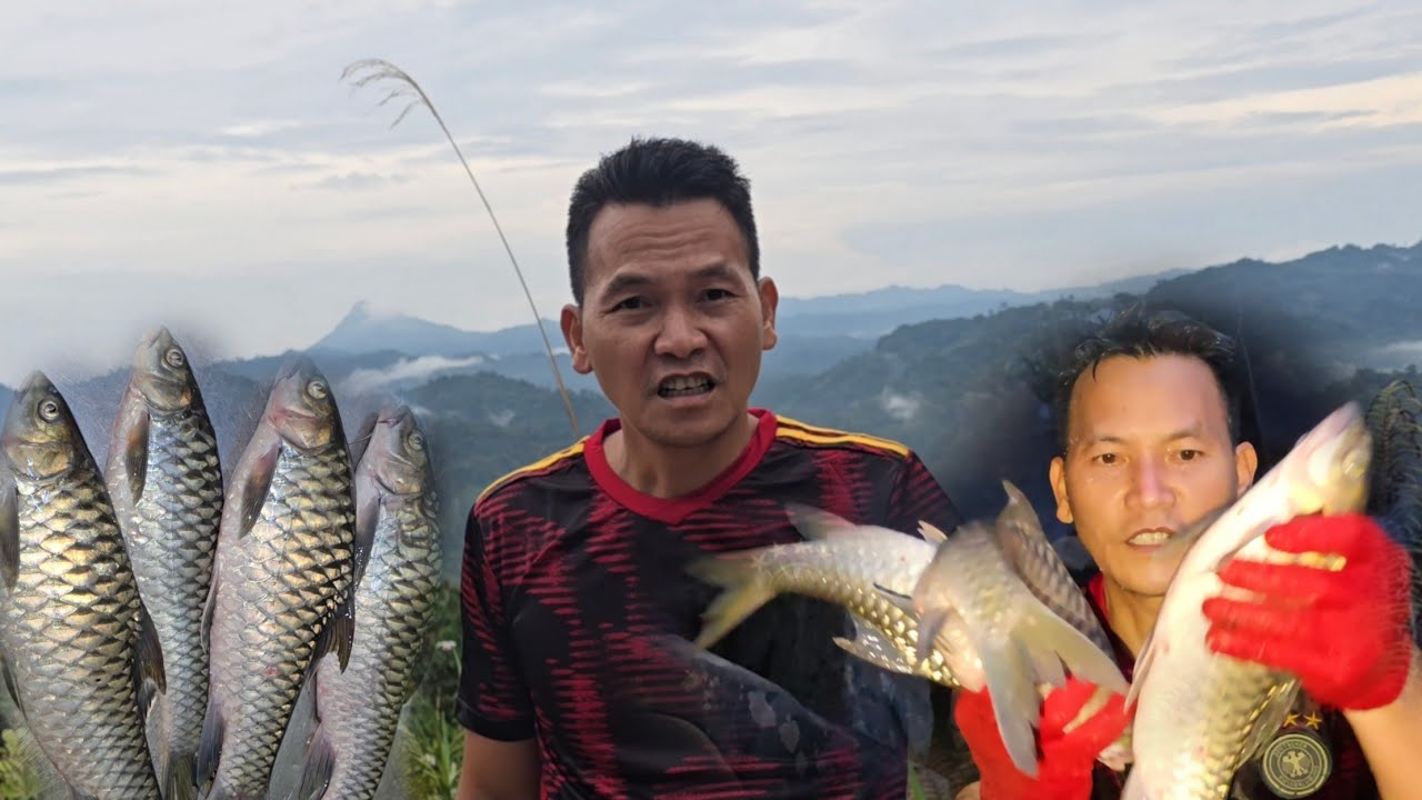 Dapat Ikan Semah Besar! Catch & Cook🦈