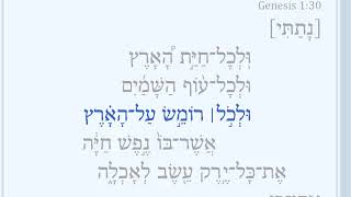 Genesis 1:30
