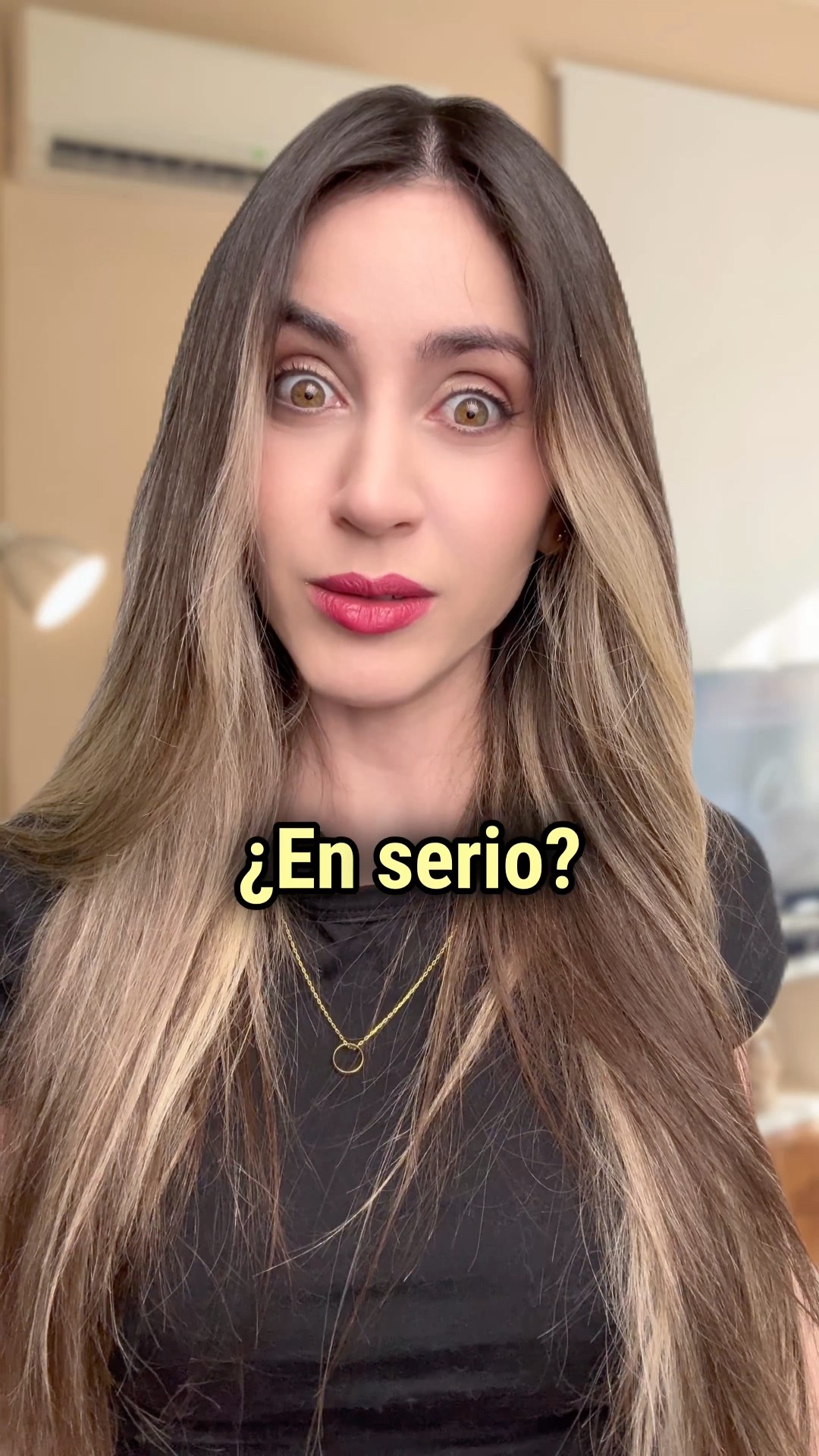 Patito, gatito, casita: o diminutivo em espanhol