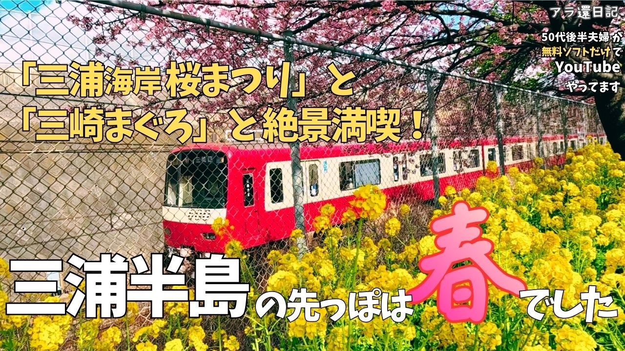 【三浦半島日帰り旅】桜と絶景を満喫して来ました！