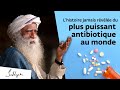 Lhistoire jamais rvle de lantibiotique le plus puissant au monde