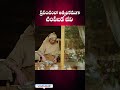 World's most killed animal ll Very Interesting Facts ll Telugu Facts ll Truth Of Truths