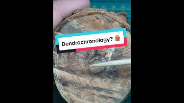 What is Dendrochronology?