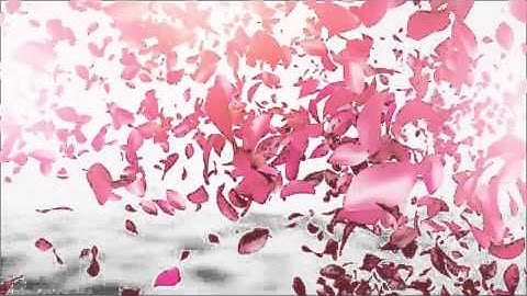Petals Logo Reveal | VideoHive Templates | After Effects Project Files