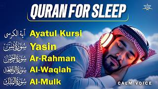 Quran For Sleep Soft Tilawat That Brings Love And Inner Calmness । Alfatiha, AyatulKursi, AlMoeathat