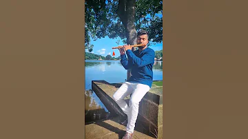 Krishna Flute | Cortoon theme #janmastami #littlekrishna #krishnaflutemusic
