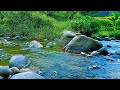RELAXING SOUNDS FOR SLEEPING | BEAUTIFUL FOREST STREAM AMBIENCE FOR DEEP SLEEP & INNER PEACE